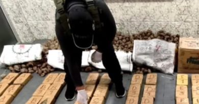 Hallan 81 paquetes de marihuana ocultos dentro de sacos de papa en El Alto