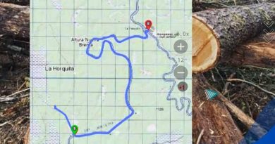 Secuestran madera vinculada a la tala ilegal en Beni valuada en Bs 23.500