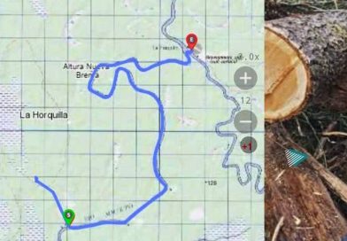 Secuestran madera vinculada a la tala ilegal en Beni valuada en Bs 23.500